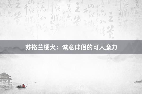 苏格兰梗犬：诚意伴侣的可人魔力