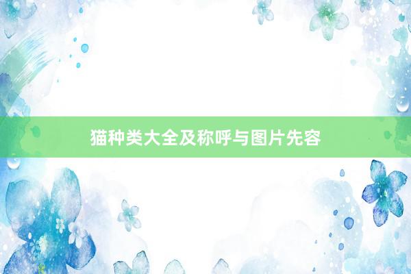 猫种类大全及称呼与图片先容